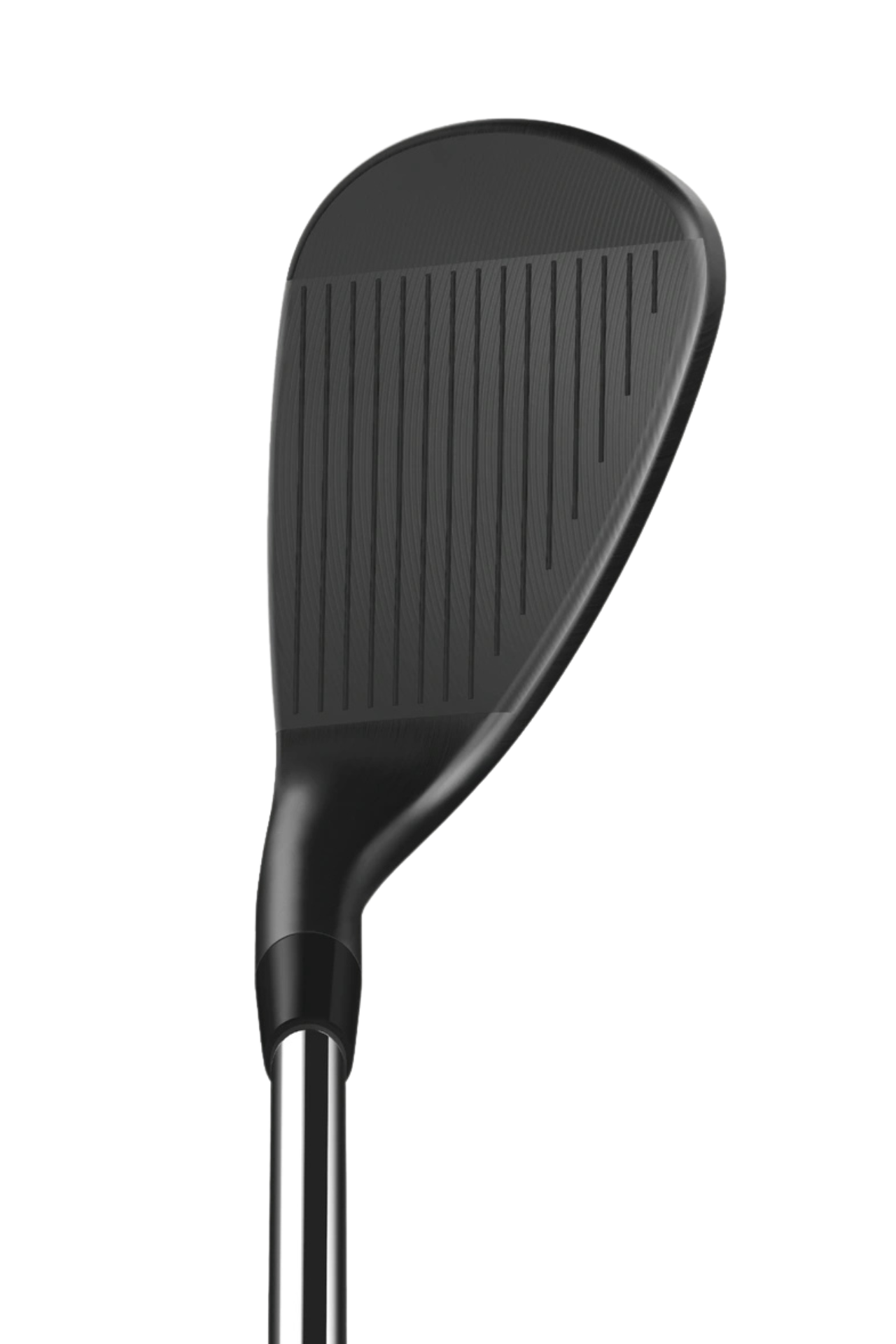 Wilson Infinite Wedge